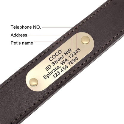 Didog Personalized Genuine Leather Dog Collar with. Chosen for real quality, fits naturally into