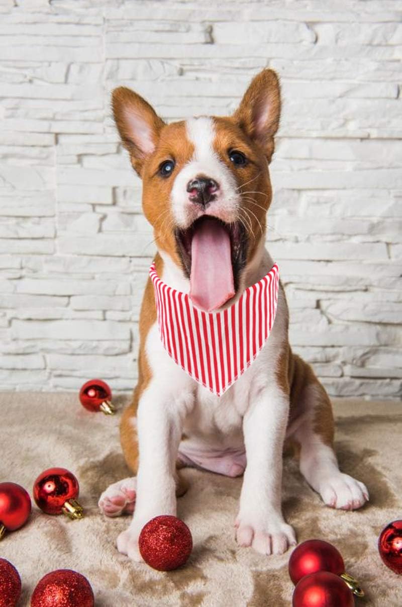 Lionet Paws Dog Bandana for Small Medium Large Dogs, Cat Dogs Kerchief Triangle Bibs Scarf for Girl or Boy