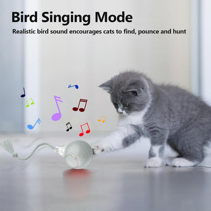 Interactive Cat Toys, Automatic Moving Cat Toy for Bored Indoor Adult Cats, Fast Rolling, Chirping & Motion-Activated Cat Toys, Fun Gift for Cats with Speedy Tail 2.0, USB Rechargeable(Gray)