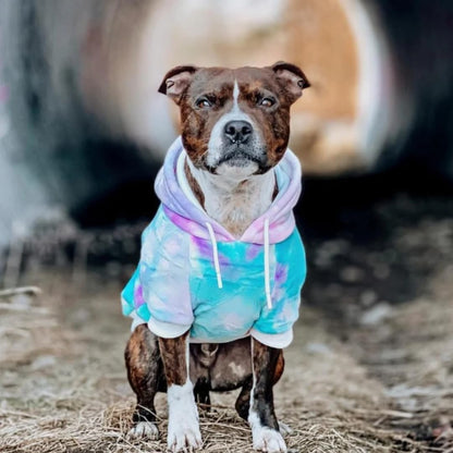 Spark Paws Dog Hoodie – Premium Dog Sweater for Small, Medium, and Large Dogs | Warm Outfits for French Bulldogs, Pitbull, Puppy, Winter Jacket Alternative - 90s Retro Sky Dye - 2XL