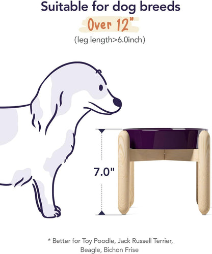 LE TAUCI Ceramic Slow Feed Dog Bowls, Elevated for Small and Medium Breed Dogs, Anti-Gulping Pet Feeding Dishes, Maze Purple, 1.5 Cups