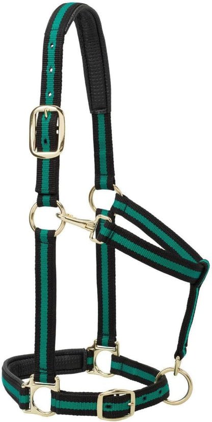 Weaver Leather Nylon Horse Halter, Padded and Adjustable, Chin and Throat Snap Hook Halters for Horses, Brass Plated Halters for Training