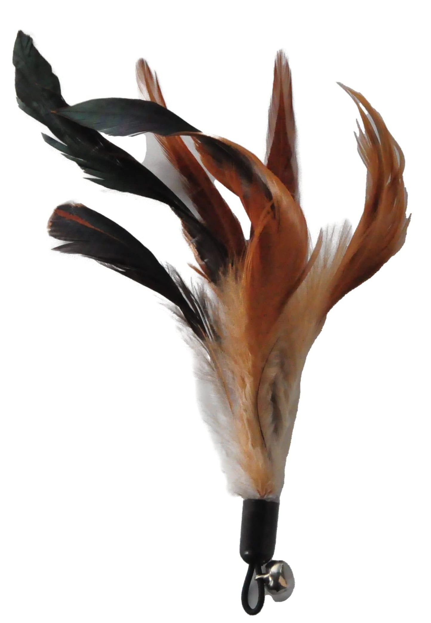 EcoCity Cat Toys. Chosen for real quality, fits naturally into modern pet homes.
