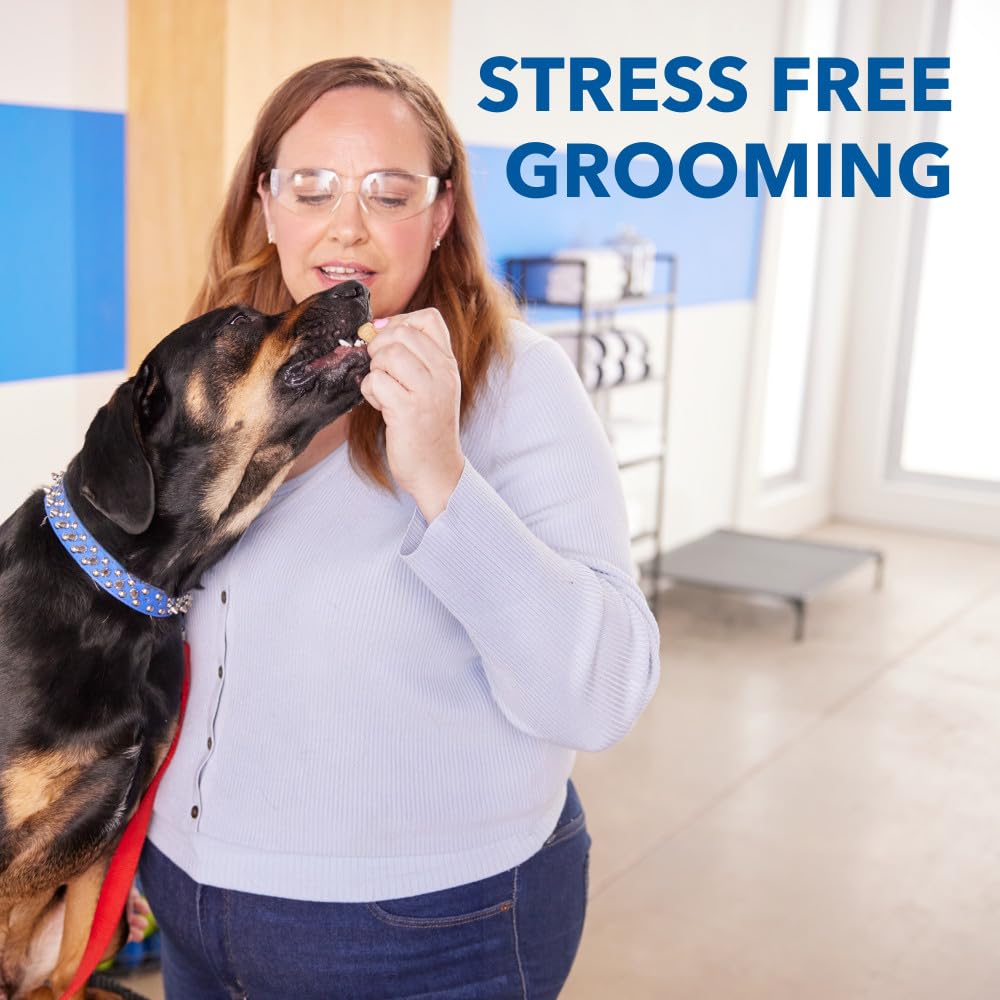 Dremel PawControl 7760. Chosen for real quality, fits naturally into modern pet homes.