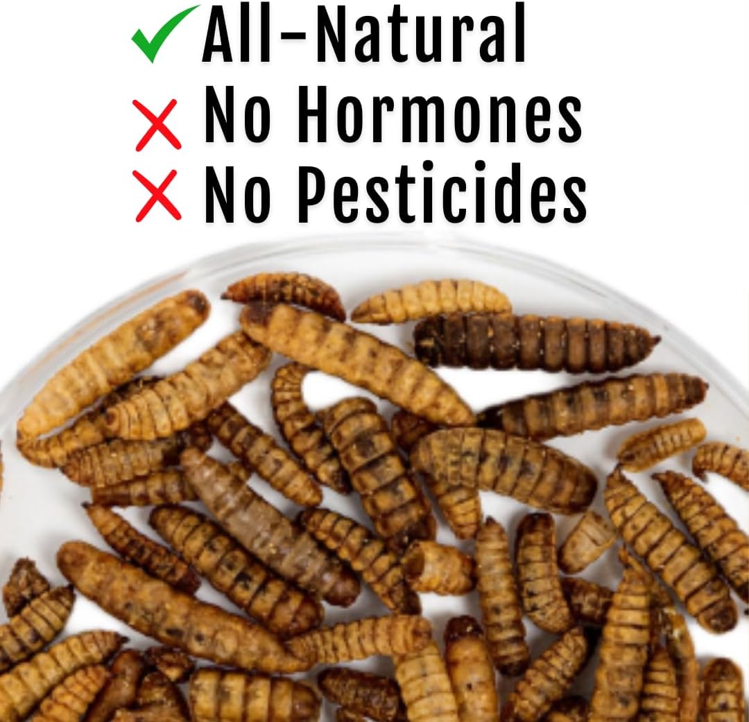 Grub Fuel Black Soldier Fly Larvae for Chickens - Nutrient-Packed BSFL, Sustainably Sourced Snack for Poultry, Rich in Protein, Calcium, Fiber, Essential Fatty Acids, USA Grown (1LB)