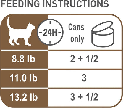 Royal Canin Aging 12+ Thin Slices in Gravy Canned Cat Food, 3 oz can (12-pack)