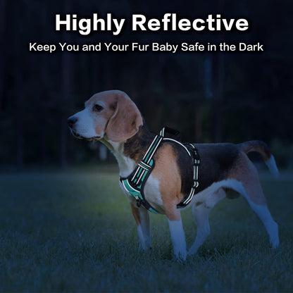 PoyPet No Pull Dog Harness, No Choke Front Clip Reflective Dog Vest with Soft Padded Vertical Handle, 3 Leash Attachments for Small Medium Large Dogs (Mint Blue,M)