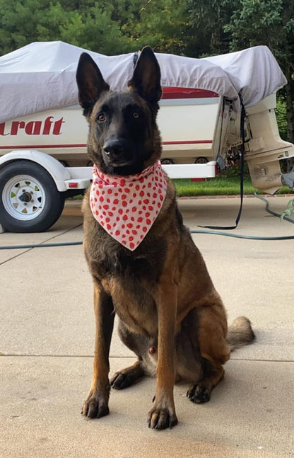 Lionet Paws Dog Bandana,Fabric Pink Dogs Kerchief for Medium Large Dogs,Dog Cotton Triangle Bibs Scarf for Girl Boy