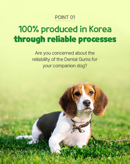 SSOMDALPET Chap Chap Dental Gum for Dogs, 30 Chews | Soft & Chewy, Dental Care Treat, Large Pack, Joint & Bone, Eye & Skin, Gut & Probiotics Options (30 Count, Eye & Skin (Blueberry/Purple))