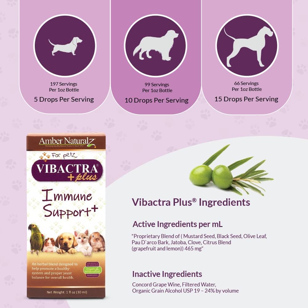 Amber NaturalZ Vibactra Plus Herbal Supplement for Dogs, Cats, Birds, Guinea Pigs, and Rabbits | Herbs for Immune Health and Yeast Balance | 1 Fluid Ounce Glass Bottle
