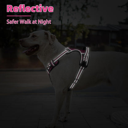 PUPTECK No Pull Dog Harness Medium Sized, Adjustable Reflective Dog Harness with Handle Easy Control, Comfortable Soft Padded Pet Vest Harness for Medium Dogs, Fuschia M