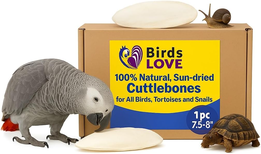 Birds LOVE 7.5" to 8" Natural Cuttlebone for Birds, Tortoises, Snails & Crabs (1 Pack) – 100% Pure Sun-Dried Cuddlebone Calcium Supplement to Support Beak & Shell Health