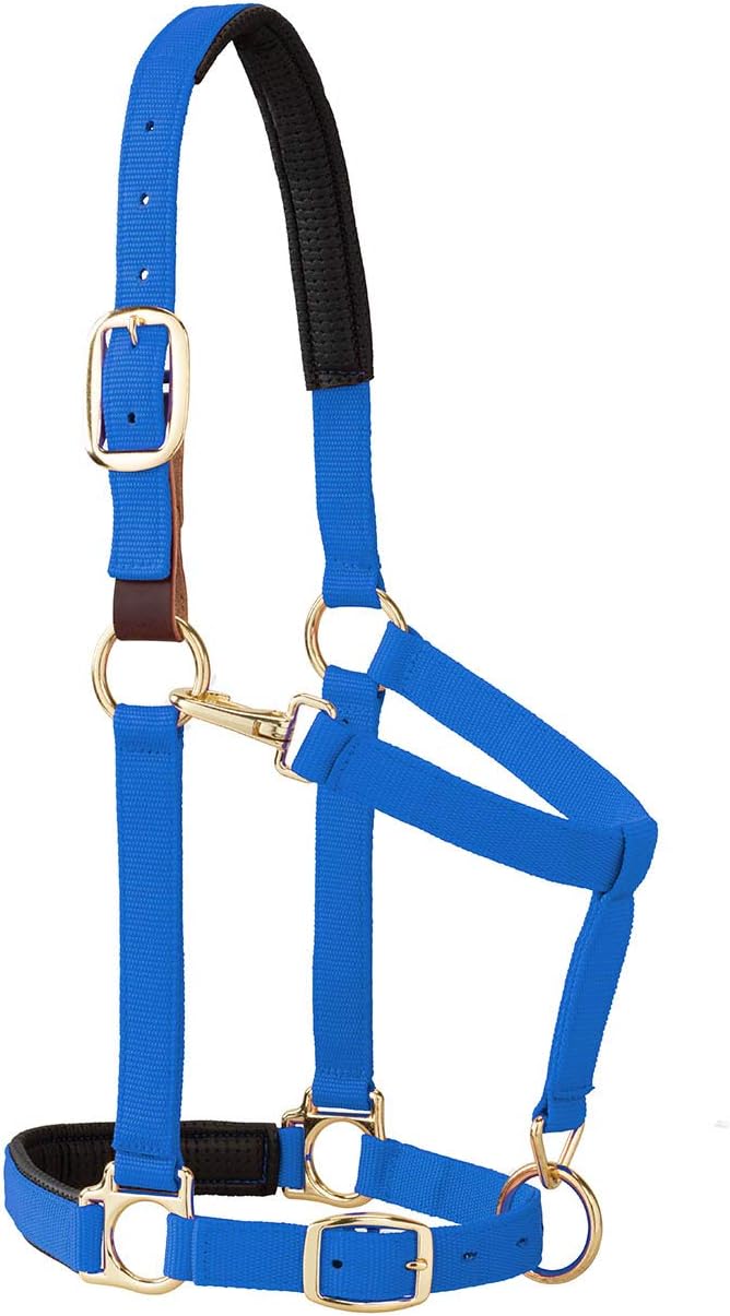 Weaver Equine Breakaway Horse Halter, Comfort Foam Padding, Adjustable Chin & Throat Snap Halters for Horses, Equine Tack,Average Size, Blue