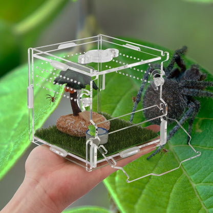 Reptile Terrarium,Tarantula Enclosure,Jumping Spider Enclosure for Tarantula Scorpion Sling Isopods Snail Reptile Invertebrates Accessories（4" X4 X4 ）