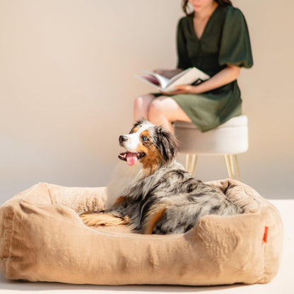 FUZI Luxury Aesthetic Dog Bed for Small Dogs with Washable Cover, Pet Couch, Pet Bed with Sides, Non-Slip Bottom, Soft and Durable Calming Dog Bed, Faux Rabbit Fur, Small 25.1x16.75x9.5 Light Brown