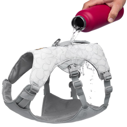 Ruffwear. Chosen for real quality, fits naturally into modern pet homes.
