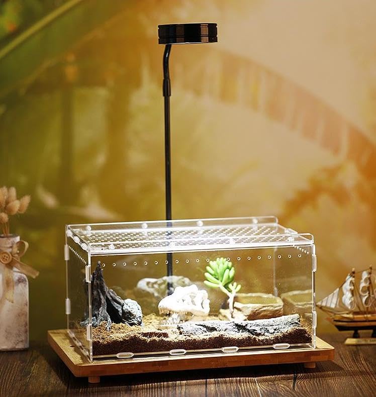 Magnetic Acrylic Case, Micro Habitat Small Tarantula Enclosure Enclosure for arboreal Tarantula Scorpion Sling Lizards Mantis Snake Gecko Jumping Spider Snail Insect Isopods (12 * 8 * 6inch)