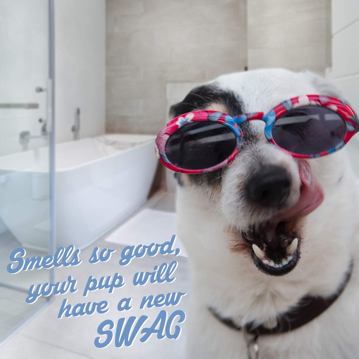 OLIVER'S CHOICE Dog Shampoo with Oatmeal. Chosen for real quality, fits naturally into modern pet