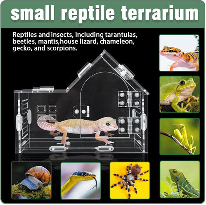 Acrylic Jumping Spider Enclosure - Versatile Reptile Enclosure with One-Click Magnetic Closure, Perfect for Tarantula, Gecko, Chameleon, Beetle, Mantis, and Hermit Crab