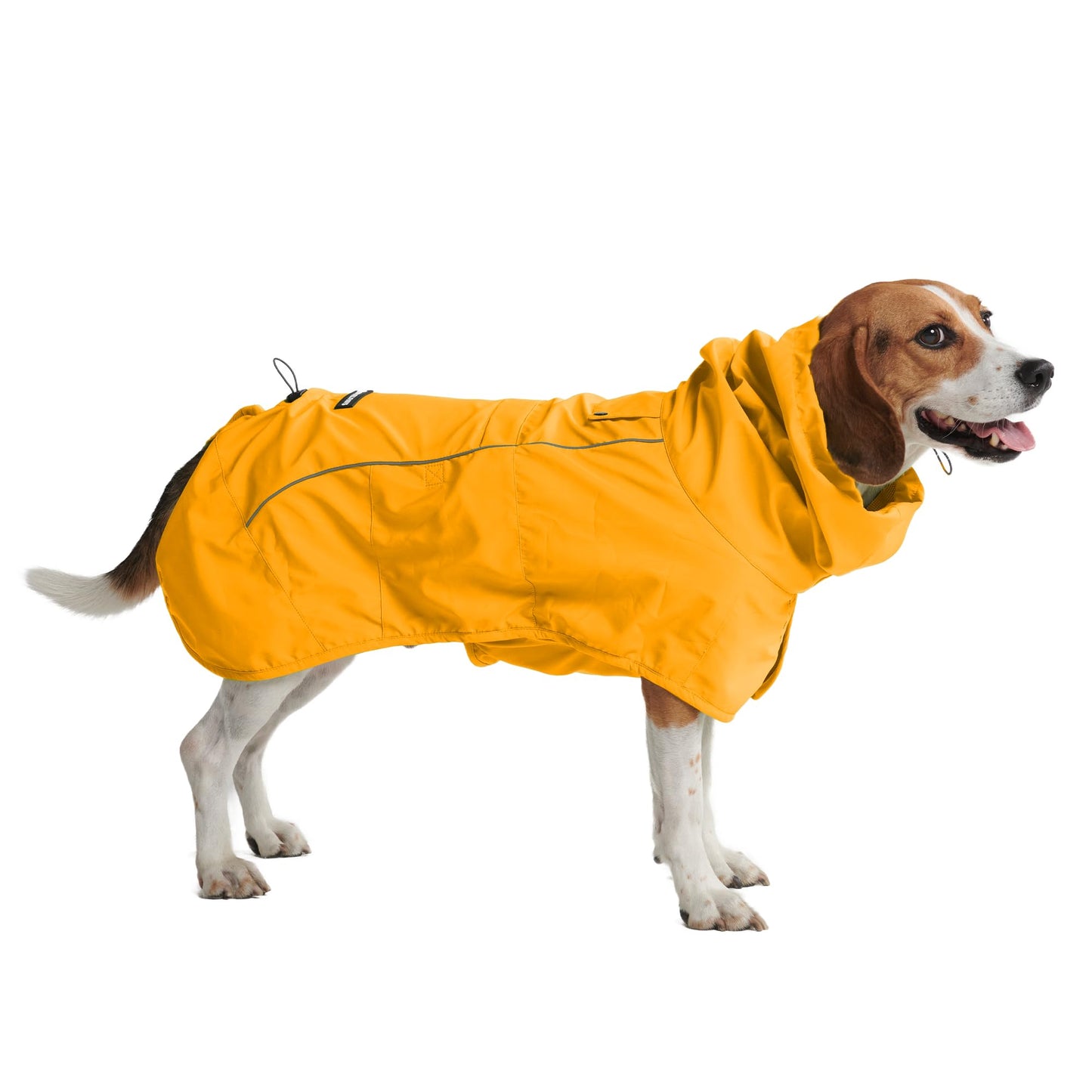 Spark Paws Dog Raincoat. Chosen for real quality, fits naturally into modern pet homes.
