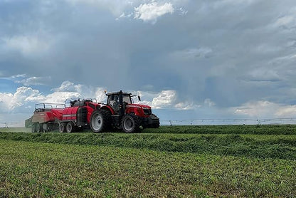 Bunny Honey Organic Alfalfa Hay for Guinea Pigs 12 lb Dim wt/5 lb High-Protein & Calcium, Supports Growth & Dental Health, Fresh & Nutritious