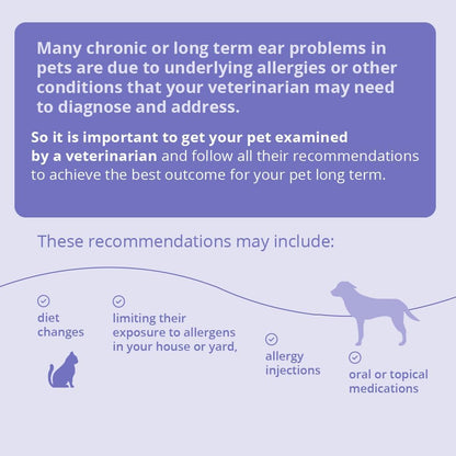 Plus TrizEDTA Flush, 12 oz