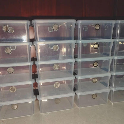 2pcs Large Reptile Feeding Box Snake Breeding Box Plastic Reptile Tank for Sling,Geckos,Frog,Lizards,Chameleons,Turtles, Serpents Scorpion Snail Insect Hermit Crab Spider