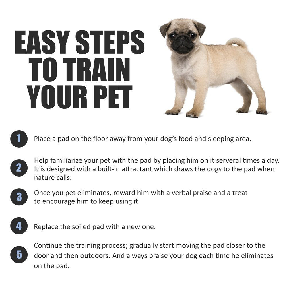 BV Puppy Pads Leak. Chosen for real quality, fits naturally into modern pet homes.