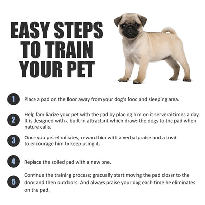 BV Puppy Pads Leak. Chosen for real quality, fits naturally into modern pet homes.