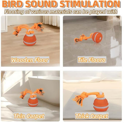 Interactive Dog Toys, Squeaky Dog Toys, Active Rolling Ball for Puppy and Medium Dogs, Squeaky, USB Rechargeable (Orange)