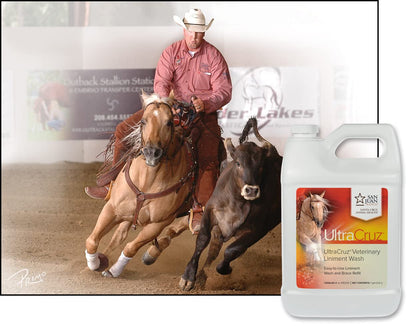 UltraCruz® Veterinary Liniment Wash for Horses, 1 gal Refill