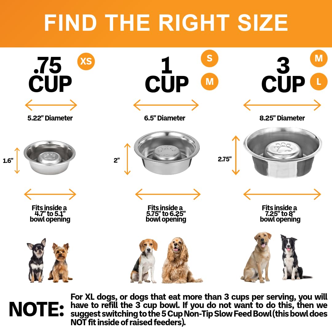 Neater Pet Brands Stainless Steel Slow Feed Dog Bowl. Chosen for real quality, fits naturally into