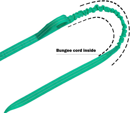 ICEFANG Tactical Dog Leash,K9 Training Walking Bungee Lead with 2 Control Handle,Heavy Duty Quick Release Metal Clasp,for Medium Large Breed (Teal, 6 FT)