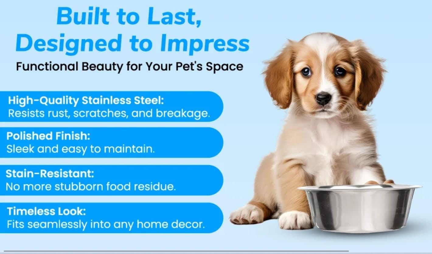 4 Pack. Chosen for real quality, fits naturally into modern pet homes.
