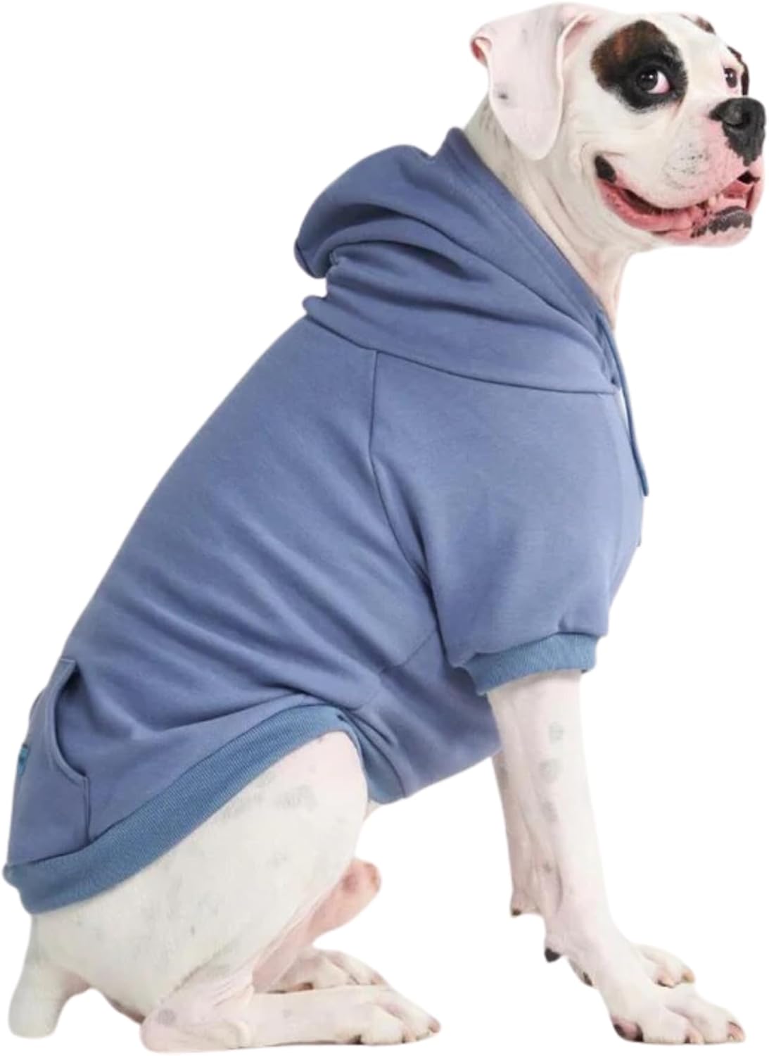 Spark Paws Dog Hoodie – Premium Dog Sweater for Small, Medium, and Large Dogs | Warm Outfits for French Bulldogs, Pitbull, Puppy, Winter Jacket Alternative - Slate Blue - 5XL