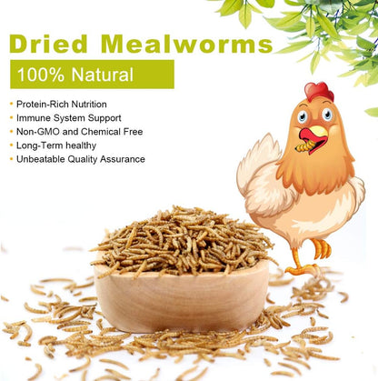 10lbs Mealworms, High-Protein Dried Mealworms for Birds, Chickens, Turtles, Fish, Hamsters and Hedgehogs, Non-GMO and Chemical Free, All Natural Animal Feed