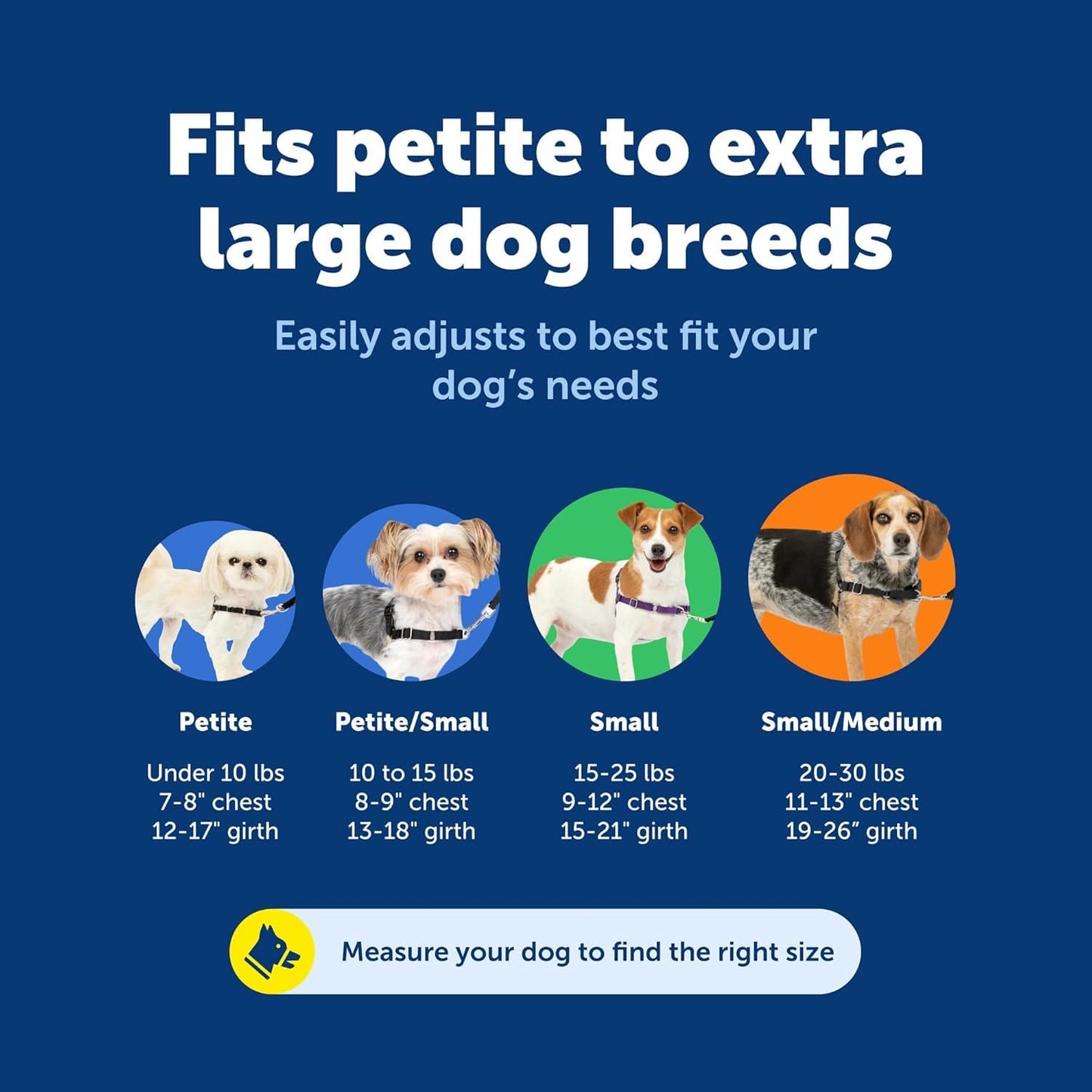 PetSafe Easy Walk Harness. Chosen for real quality, fits naturally into modern pet homes.