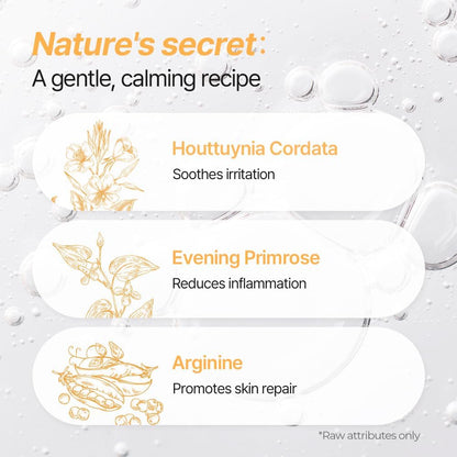 PetO’Cera All-in-One Cat Shampoo and Conditioner | Hypoallergenic Cat Skin & Coat Care | Itch Relief, Moisturizing & Rejuvenating | Veterinarian Approved (10.1oz, 300ml) (Unscented)