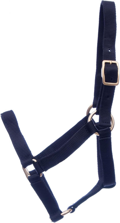 Jeffers Equine Mini Horse Halter – 3/4" Nylon Adjustable Halter for Miniature Horses, Ponies, Under 200 lbs – Heavy Duty Hardware, Secure Fit for Training, Turnout, Grooming, Travel – Black