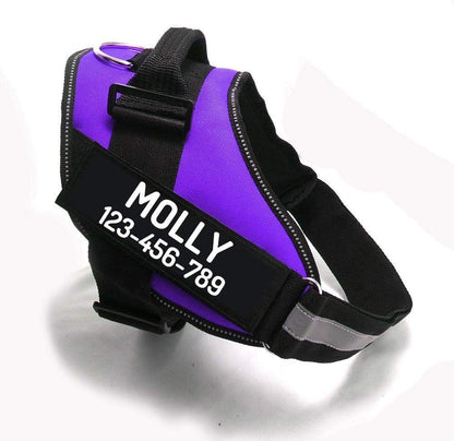 PawPawify Custom No Pull Dog Harness with Name and Phone Number, Heavy Duty Personalized Pet Vest to Prevent Tugging, Pulling, or Choking, Training and Walking (Purple, XS (5-9LBS))