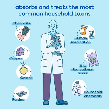 ReadyRESCUE - Dog First Aid Kit Essential - Activated Charcoal Detox for Dogs, Cats, Pets - Animal First Aid Kit - Dog Medical Emergency Kit - Dog Travel Essentials - 30g (3 Vials of 30g)