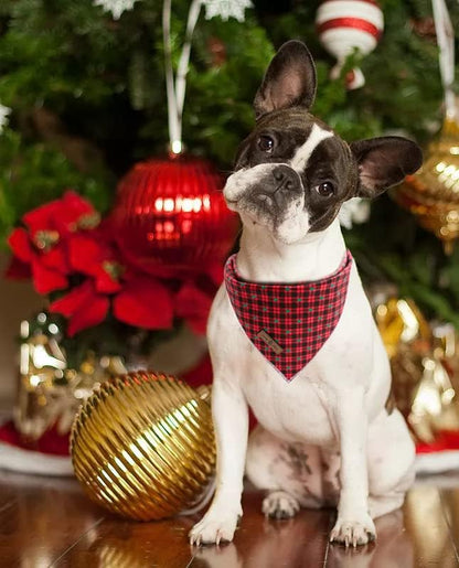 Lionet Paws Christmas Dog Bandana 1PC Pet Red Tree Dog Bandana Washable Reversible Cotton Boy Bibs Scarf, Adjustable Square Dogs Kerchief for Small to Large Dog