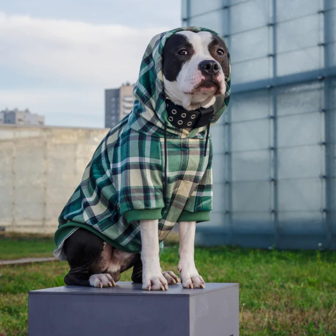 Spark Paws Dog Hoodie – Premium Dog Sweater for Small, Medium, and Large Dogs | Warm Outfits for French Bulldogs, Pitbull, Puppy, Winter Jacket Alternative - Green Plaid - 3XL