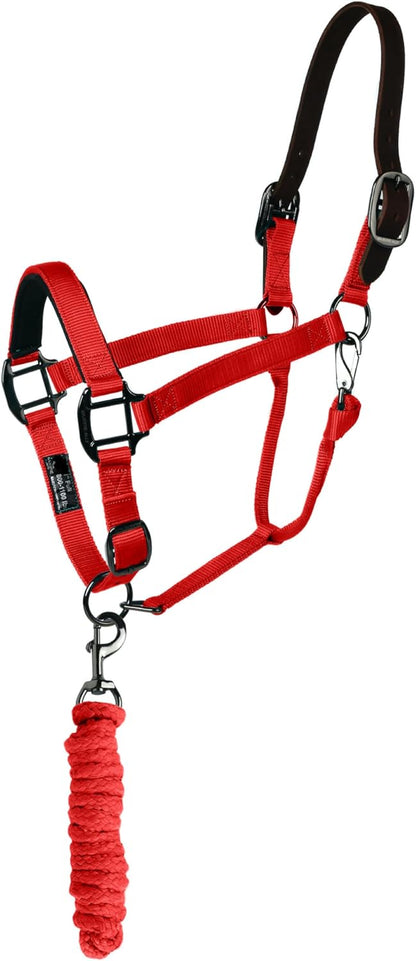 Majestic Ally Leather Halter with Matching Lead Rope for Horses – Leather Breakaway Crown - Adjustable Chin Strap – Rolled Throat Latch – Padded Noseband – Full (Red, Full)