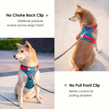 PHOEPET No Pull Dog Harness, Unique Colors Reflective Adjustable Dog Vest, with Soft Training Handle Metal Clips for Small Medium Large Dogs (Teal Base & Red Straps,XS)