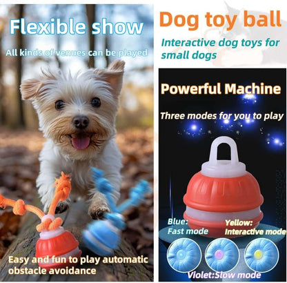 Interactive Dog Toys, Squeaky Dog Toys, Active Rolling Ball for Puppy and Medium Dogs, Squeaky, USB Rechargeable (Orange)