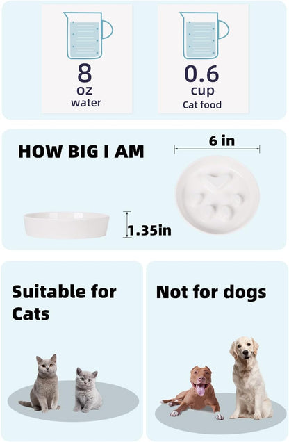 Slow Feeder Cat Bowls, Ceramic Fun Slow Eater Bowl for Cats (White)