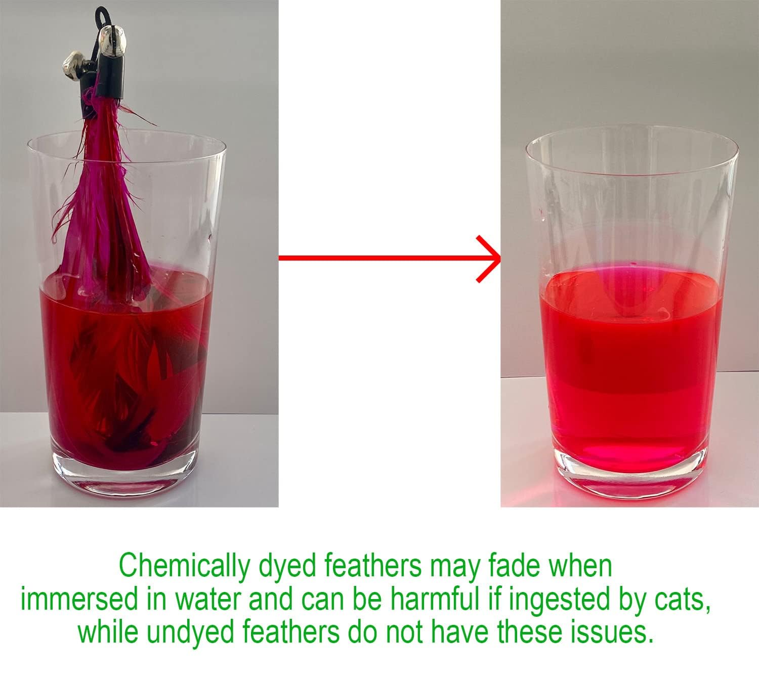 EcoCity Cat Toys. Chosen for real quality, fits naturally into modern pet homes.