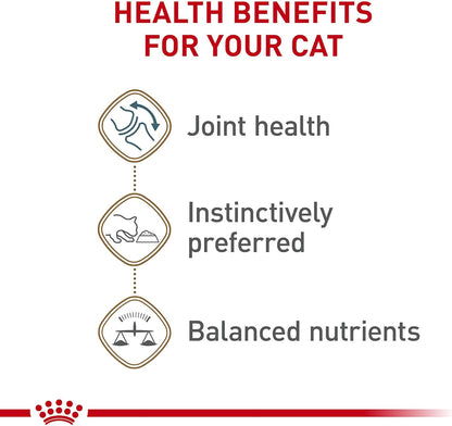 Royal Canin Feline Health Nutrition Aging 12+ Loaf in Sauce Canned Cat Food, 5.1 oz can (24-count)