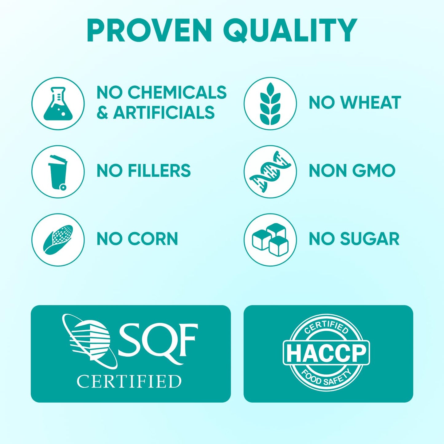 Hemp Calming Chews for Dogs. Chosen for real quality, fits naturally into modern pet homes.